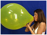 Video clip for sale of Kitty blowing to pop 17-inch balloons