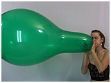 Video clip for sale of Ruby blowing to burst a 24-inch Qualatex balloon