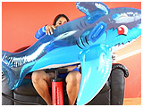 Video clip for sale of Saffron inflating a shark pool toy